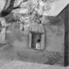 Лето в Михалувке. Лето в Вильгельмувке – Image 3