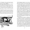Вечера на хуторе близ Диканьки – Image 5