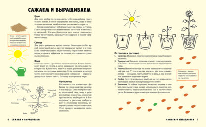 Мой первый огород. Посей, собери, съешь – Image 5