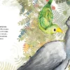 Птица по кличке Уйди – Image 6