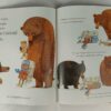 Практическая медведология для начинающих – Image 2